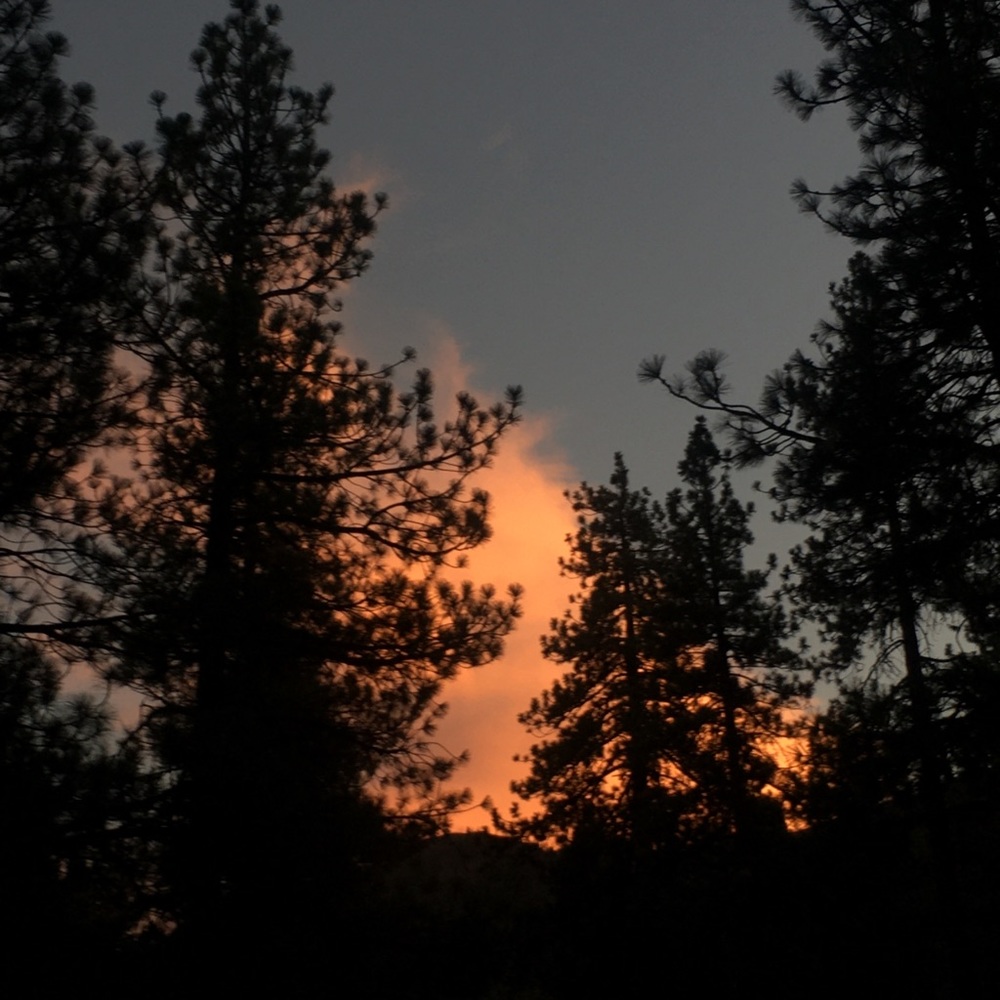 Meet your Posher, Naomi